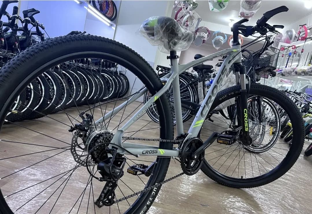 Cross 29 Bicycle