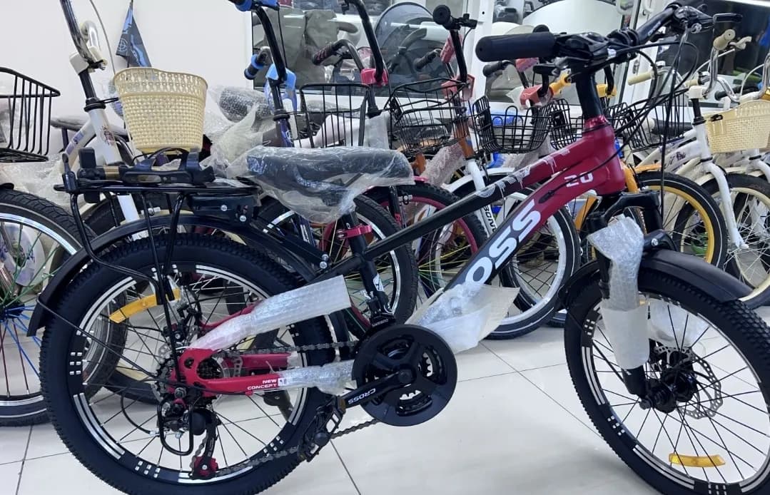 Bicycle CROSS 24