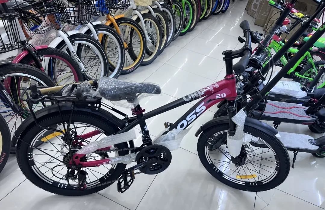 Bicycle CROSS 24