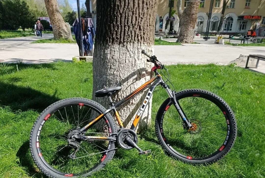 Hardtail bicycle frame, straight stem