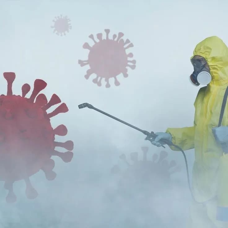CITYDEZ company needs a CHIEF DISINFECTOR-ENTOMOLOGIST!