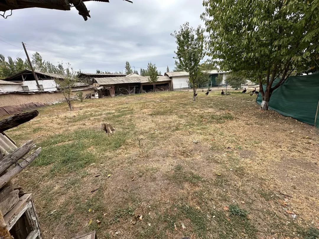 Land plot for sale price 5,600$ documents everything is there 6 acres price we will negotiate again Address Tashkent region Yukorichirchik district Yangibazar Kavardon Village gas electricity everything is there tel:*