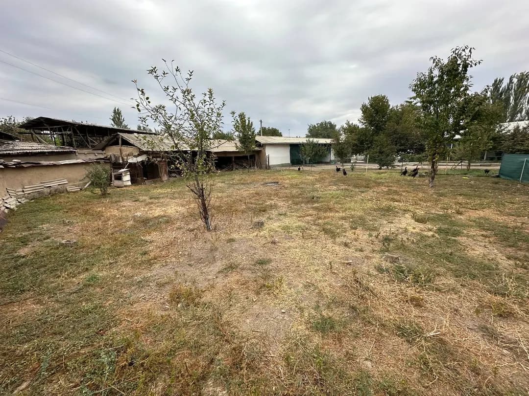 Land plot for sale price 5,600$ documents everything is there 6 acres price we will negotiate again Address Tashkent region Yukorichirchik district Yangibazar Kavardon Village gas electricity everything is there tel:*
