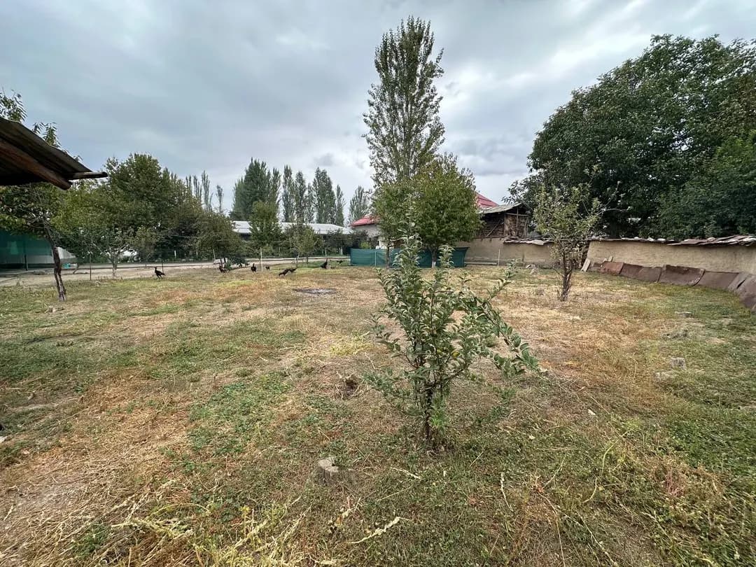 Land plot for sale price 5,600$ documents everything is there 6 acres price we will negotiate again Address Tashkent region Yukorichirchik district Yangibazar Kavardon Village gas electricity everything is there tel:*