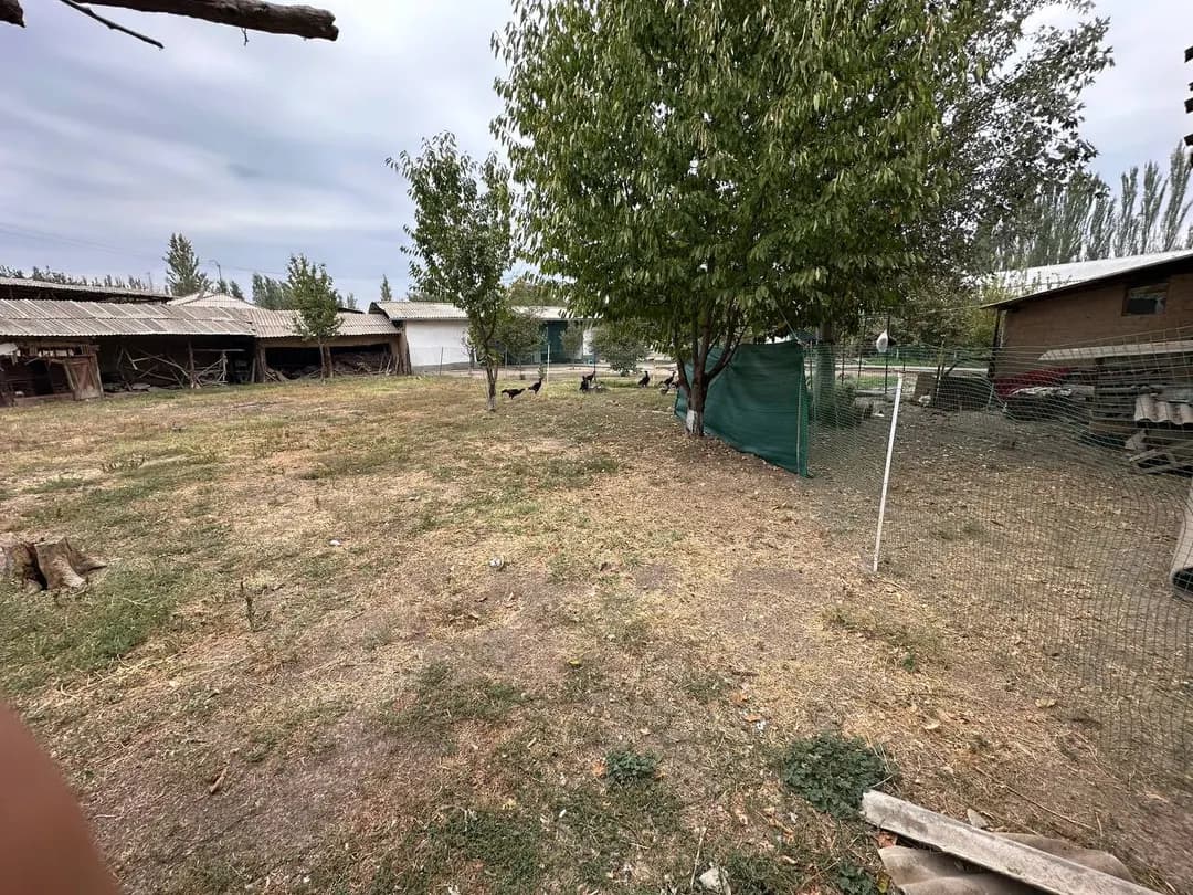 Land plot for sale price 5,600$ documents everything is there 6 acres price we will negotiate again Address Tashkent region Yukorichirchik district Yangibazar Kavardon Village gas electricity everything is there tel:*