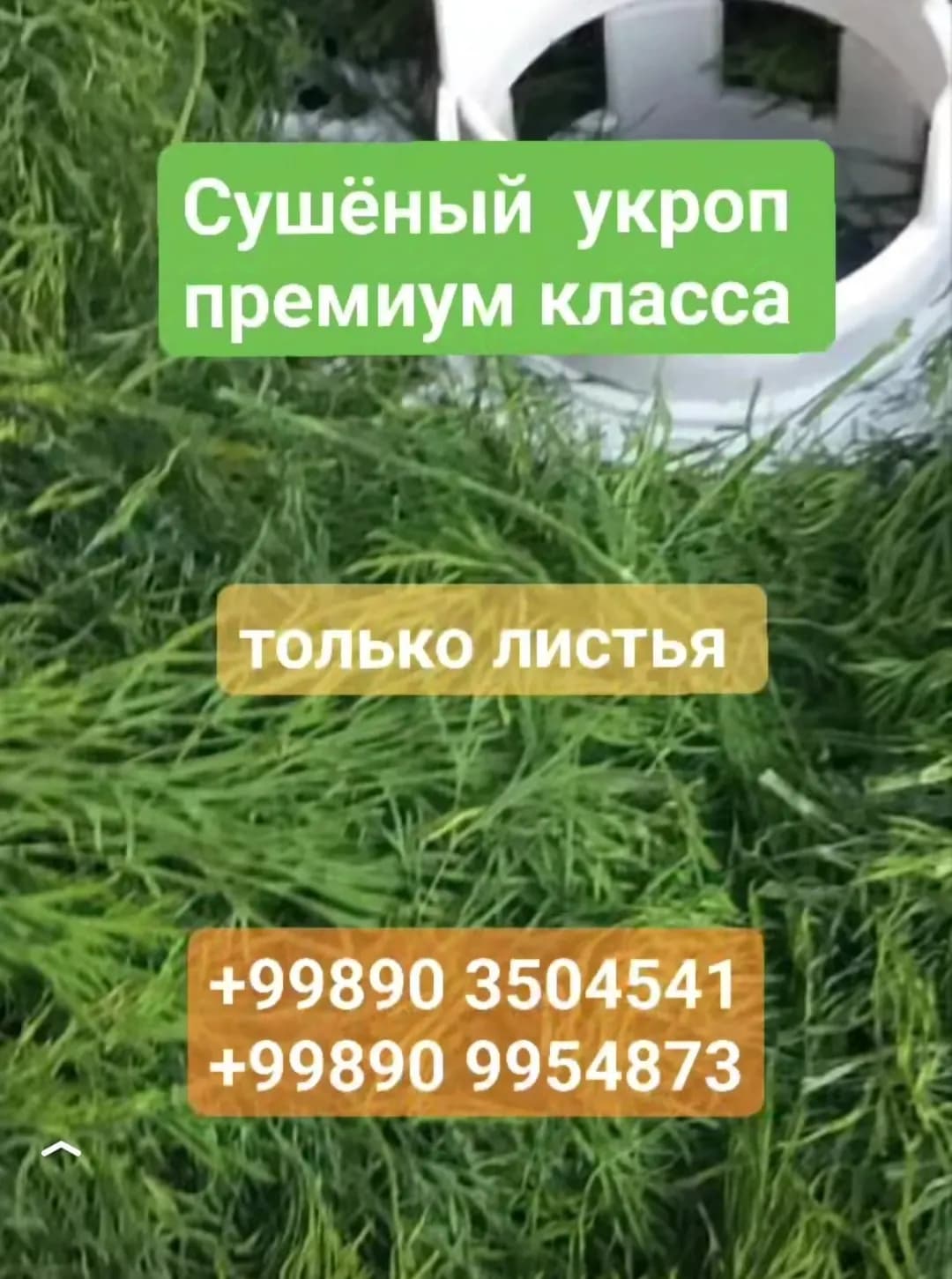 Укроп куритилган премиум сифатида