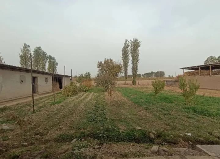 В ноябре будет продан дом рядом с ипподромом.
