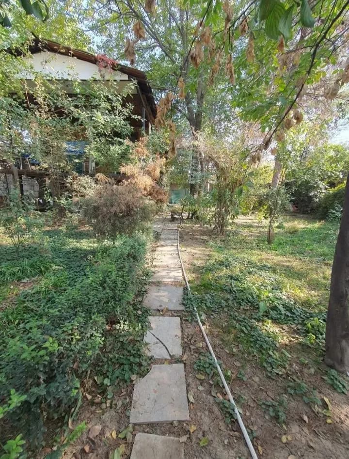 Yangi Toshkentda 10 sotix yer uchastkasi
