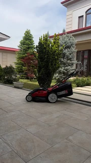 Tree cutting 24/7