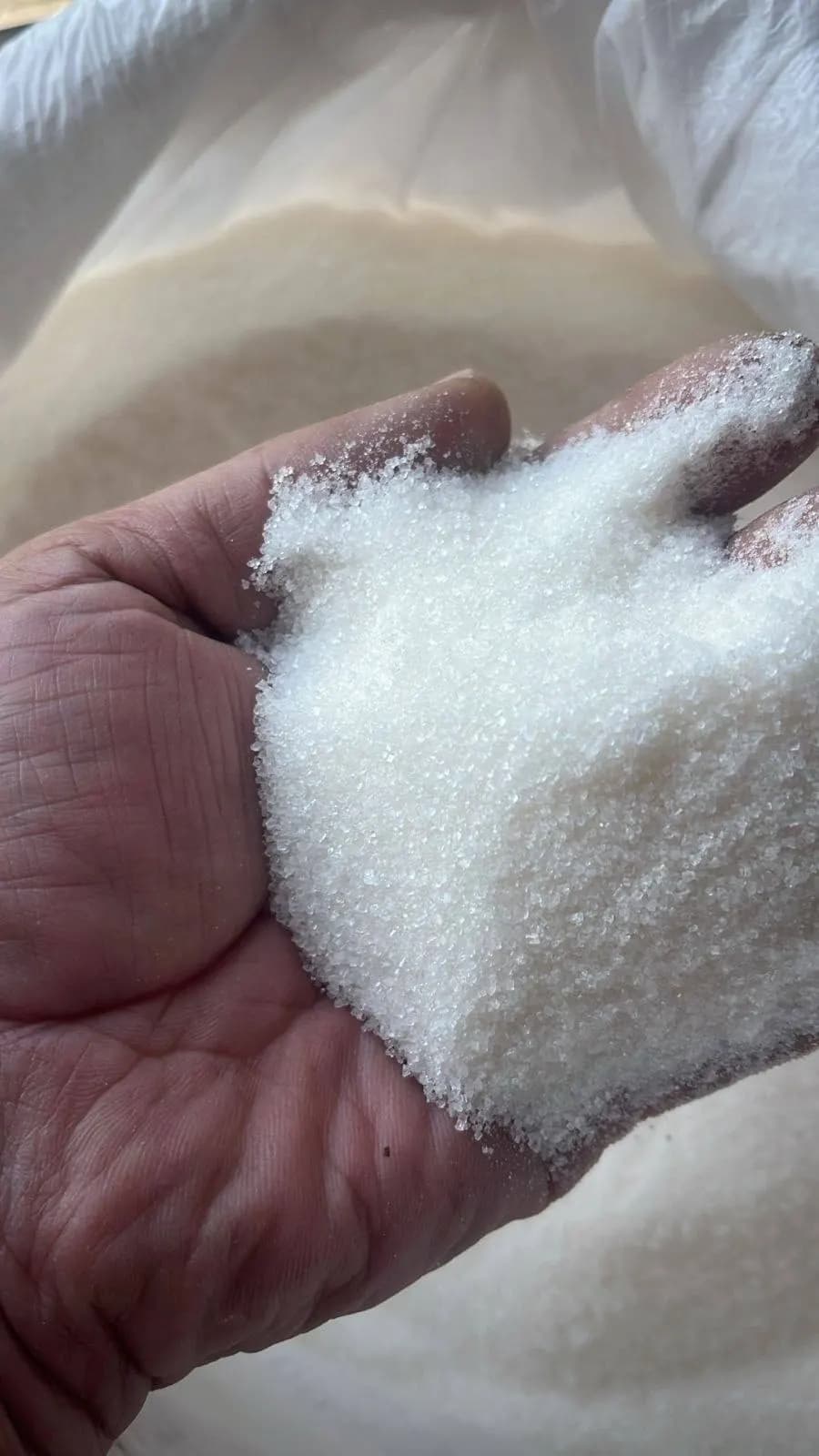 Russian sugar at wholesale prices in Tashkent