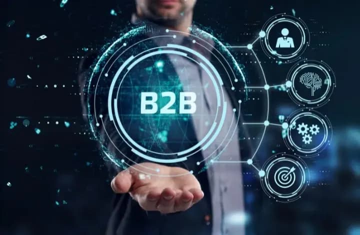 UniDream IT company needs a B2B manager