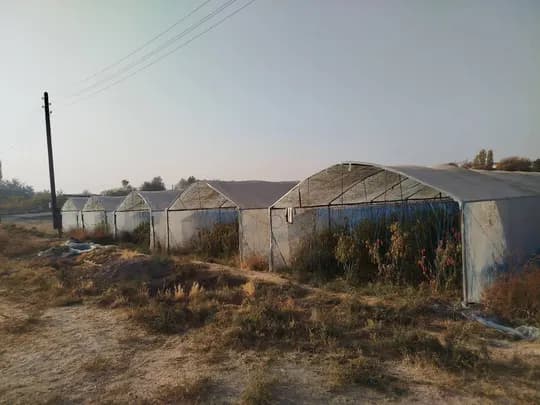 Parniklar for sale