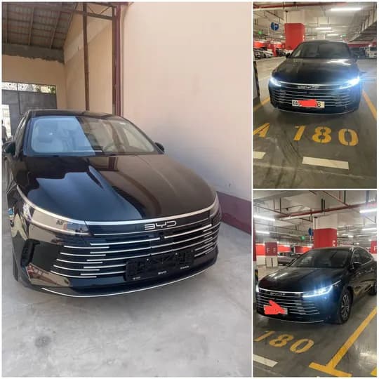 BYD Chazor