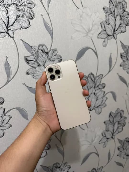 Iphone 12 pro max  256 Gb