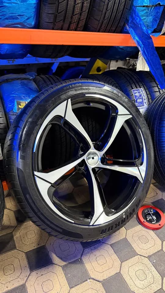 Oroq R19/245/40 diska balon holat zor