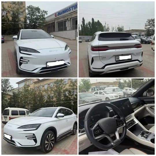BYD 605 Champion