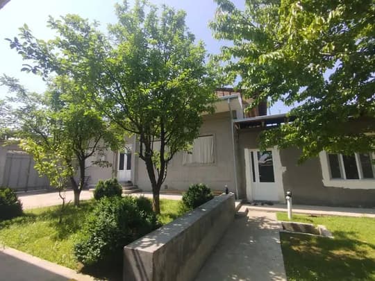 Nazarbek Turkistan Jovli for sale
