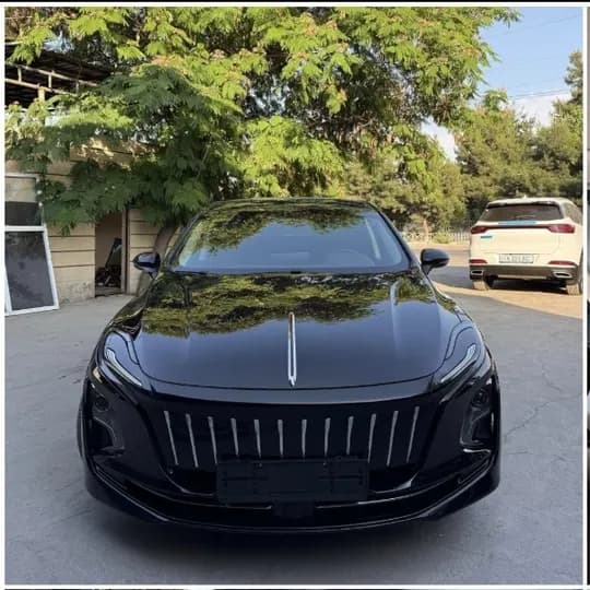 Hongqi E-QM5 Sotilladi