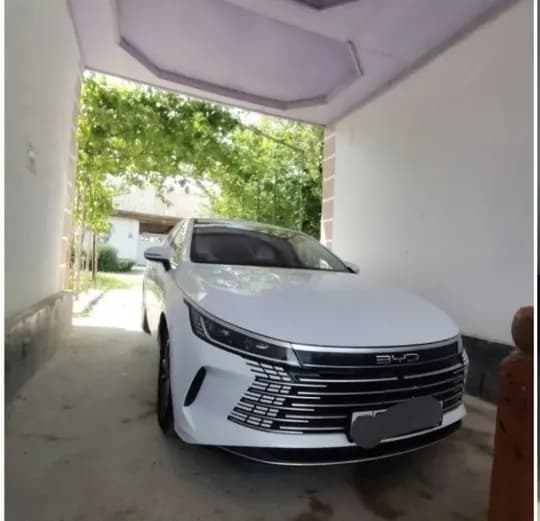 Byd Chazor For Sale