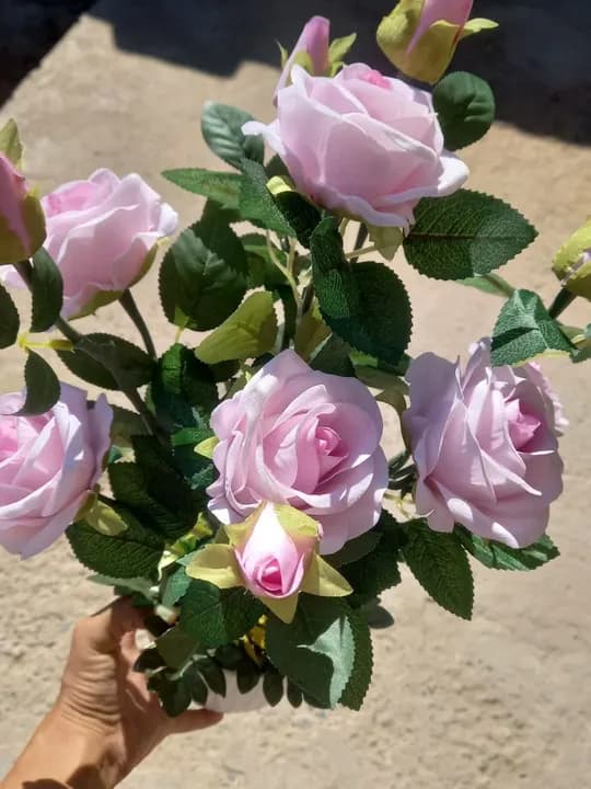 We offer to prepare roses for gifts