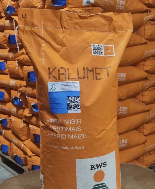 KALUMET makka sotiladi