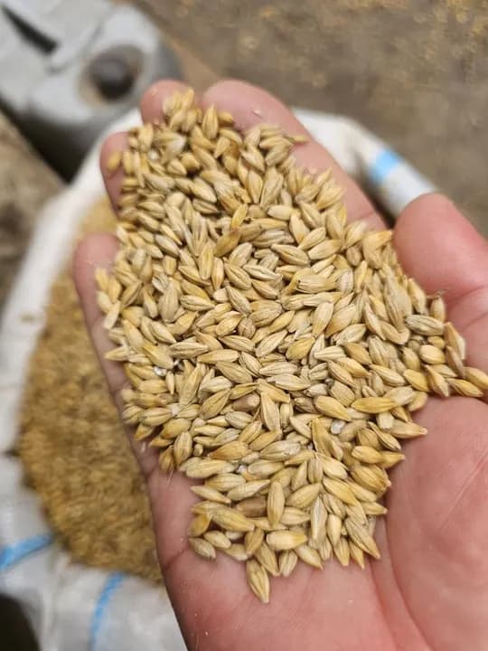 Novvotrang ARPA is sold in Kazakhstan