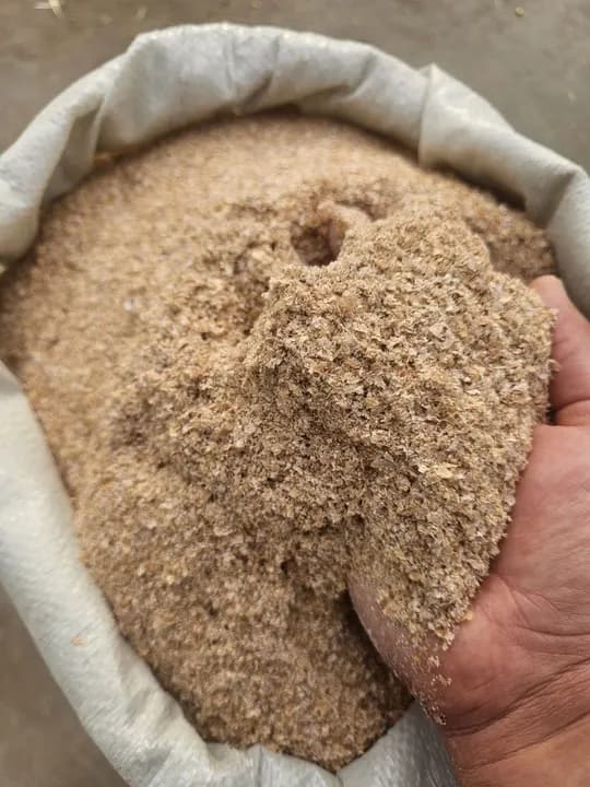 Yikir va toza Qozog'iston kepagi sotuvda 25kg li qopda