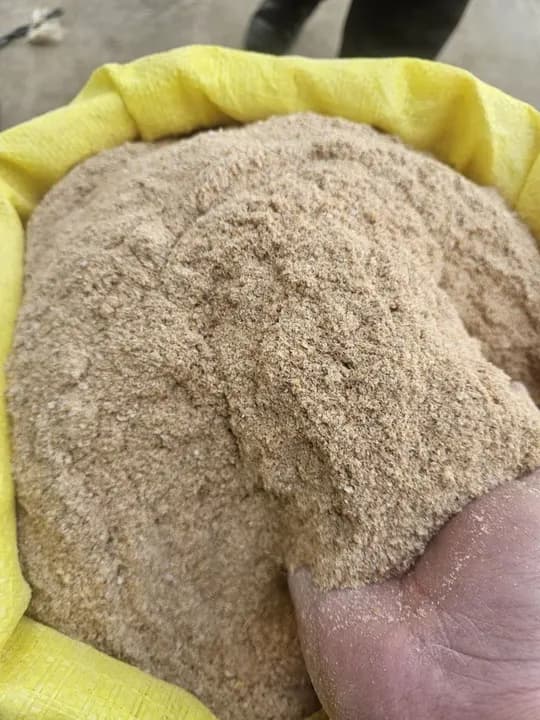 Pure Flour FINE Bran For Sale
