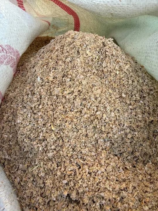 'MOURABAR' Giant Bran Goes On Sale