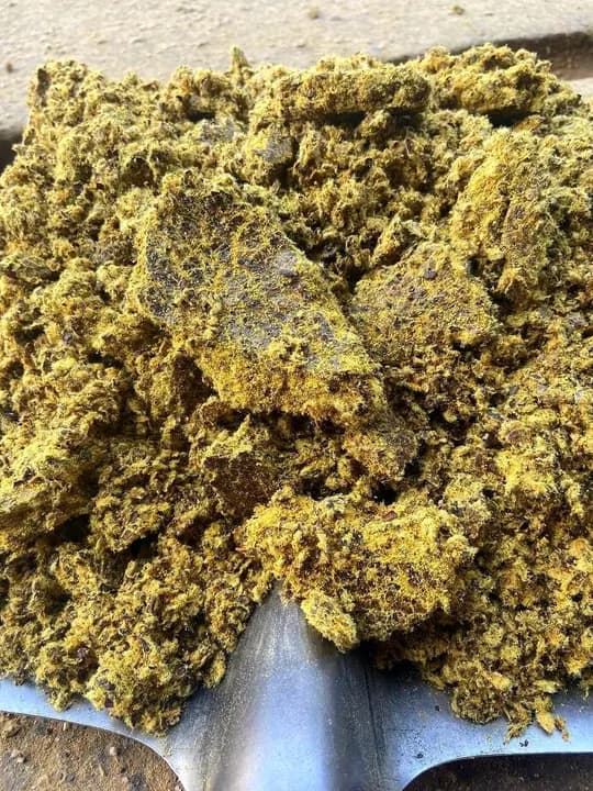 OILY KUNJARA in a 40kg bag