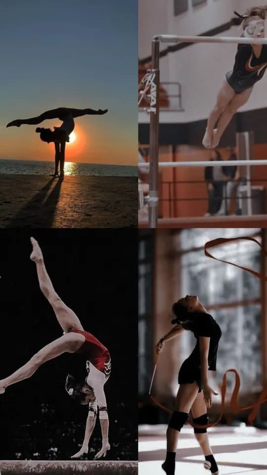 Gimnastika murabbiyi yoʻnalishi boʻyicha malakali mutaxassisni taklif etadi.