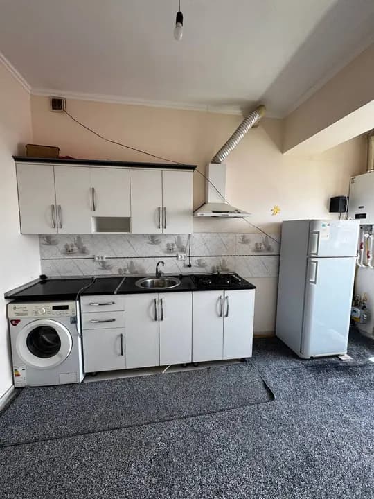 need to look after the house