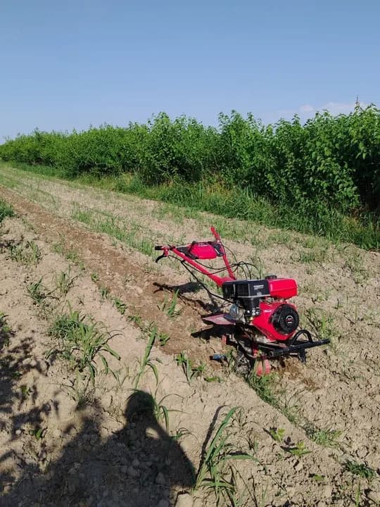 Ploughing