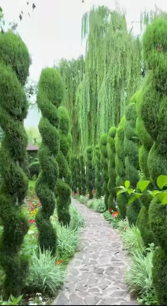 There are spruce cutting, lawn planting, lanshaw, palif vadapad service