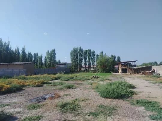 Пустующие участки 5.9