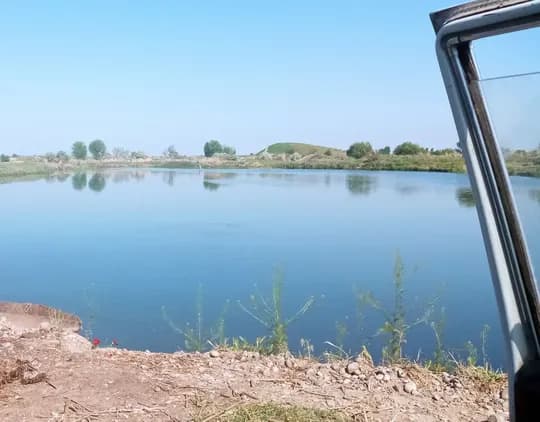 Есть работа в рыбоводстве. Рыбу нужно кормить