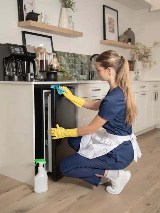 Domrabotnitsa need a domestic worker