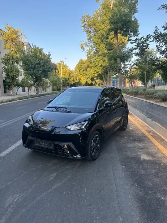 BYD SEAGULL sotiladi