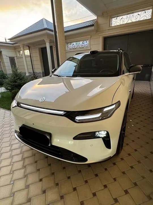 Leapmotor C11 Gibrid