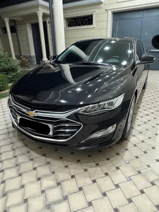Malibu Premier sotiladi
