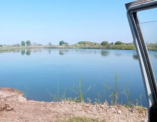 Working in the fishery Need to raise fish