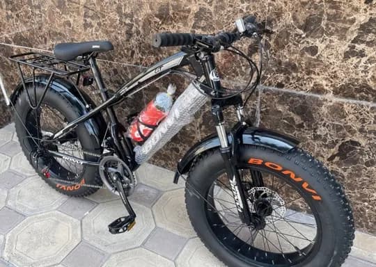 New bike size 20 wide balloon