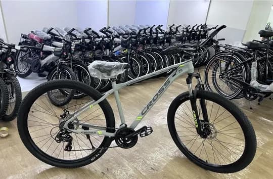 Cross 29 Bicycle