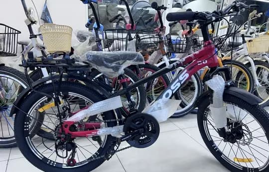 Bicycle CROSS 24