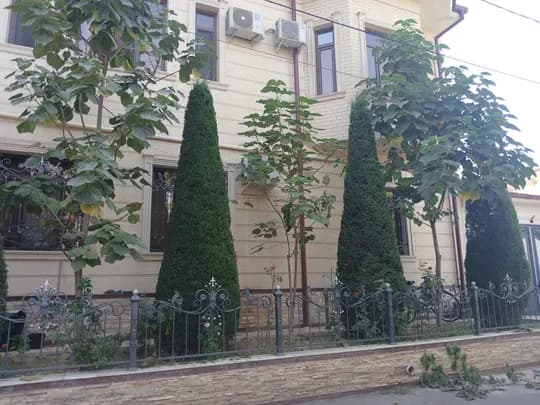 стрижка елок