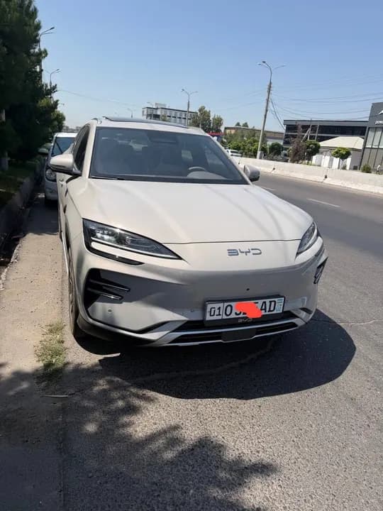 BYD Champion Smart for sale only on credit