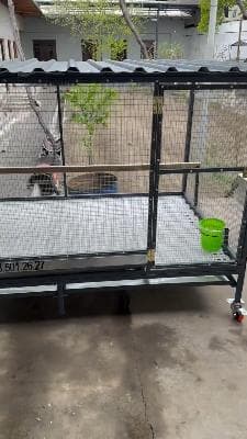 Chicken coop