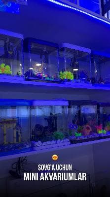 Mini Akvarium lar keldi