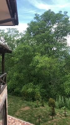 Chimgan, next to the cable car, Newly renovated, Dacha (le-chalet)