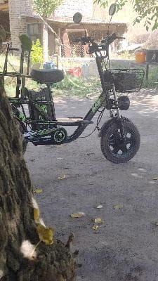 For Sale